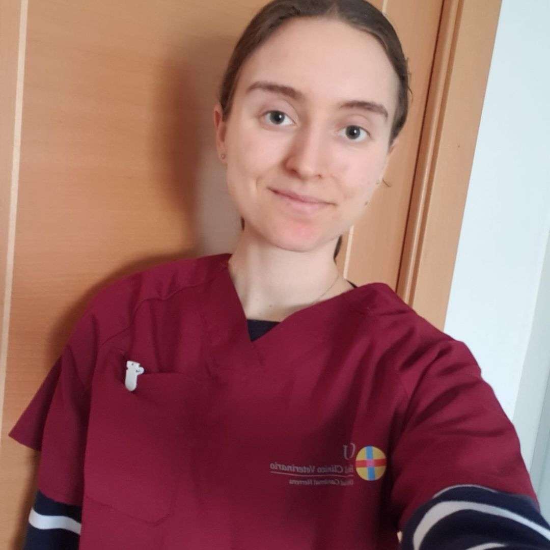 Interview de Charlotte, étudiante vétérinaire en Espagne
