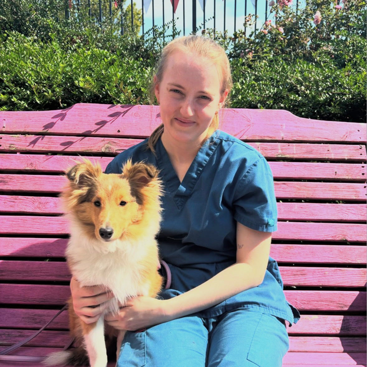 Trouver la tenue vétérinaire parfaite : Confort, style, et praticité pour ceux qui soignent nos amis à quatre pattes