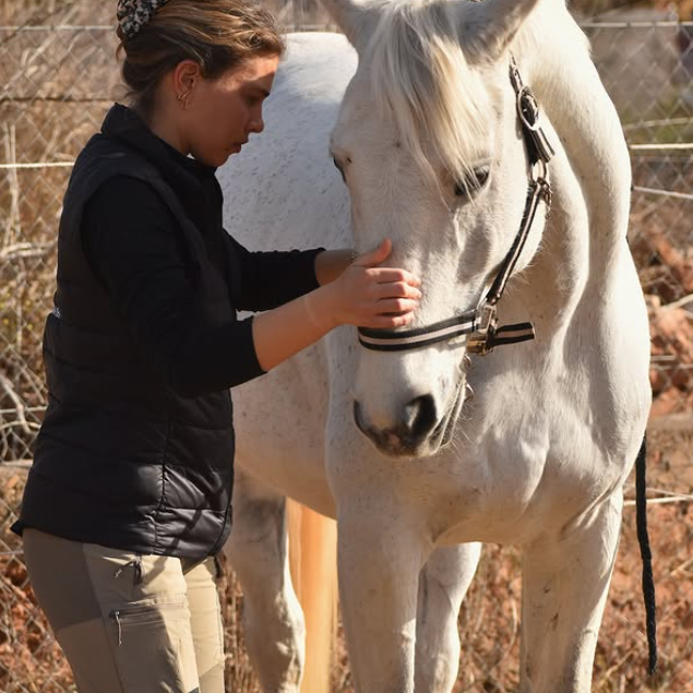 Laure Granger, ostéopathe animalier