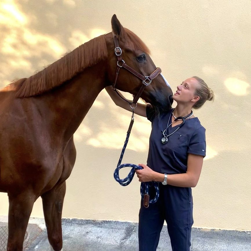 Vétérinaire : le généraliste des animaux