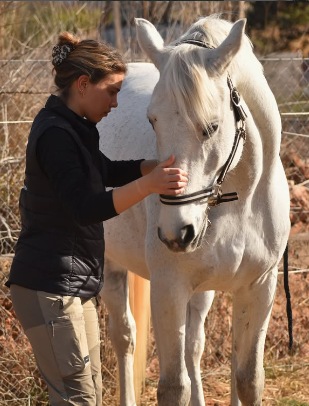 Laure Granger, ostéopathe animalier